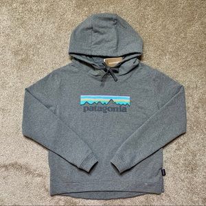 Patagonia Grey Sweater/Hoodie